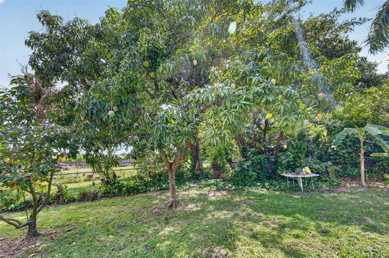 1490 NW 8th St, Homestead, FL 33030 Photo