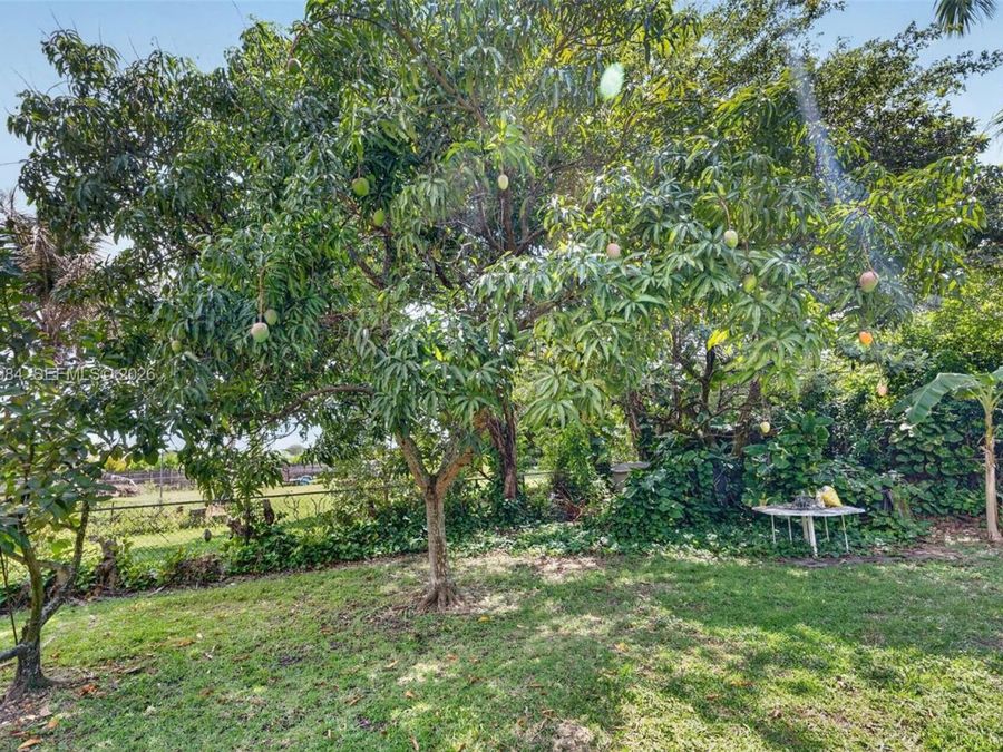 Property Image 56