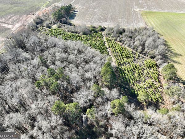 0 Jenkins Farm Road, Byromville, GA 31007