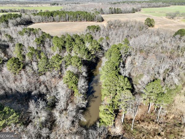 0 Jenkins Farm Road, Byromville, GA 31007