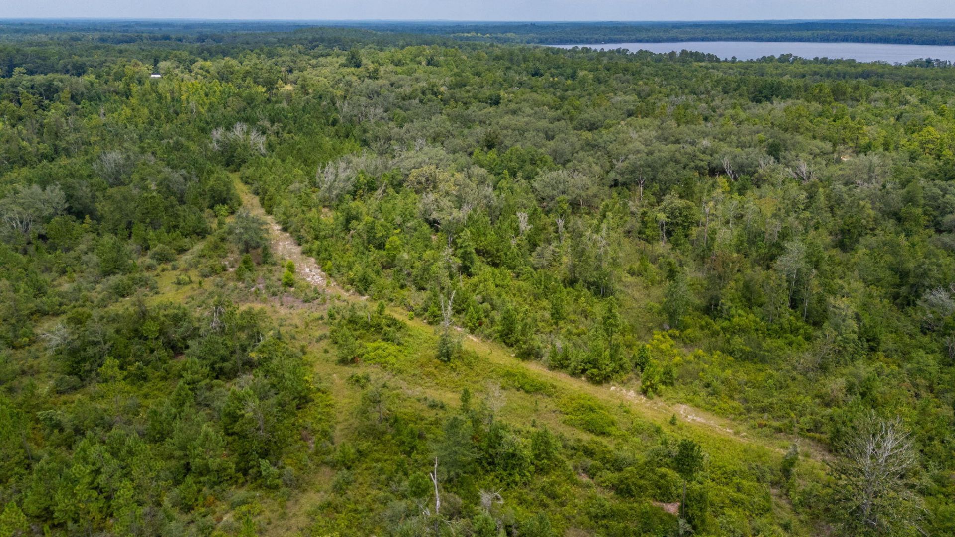 100 Acres Union Hill Road, Vernon, FL 32462 Main Photo