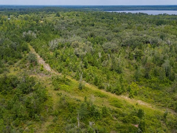 100 Acres Union Hill Road, Vernon, FL 32462