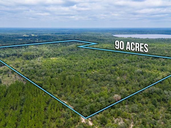90 Acres Union Hill Road, Vernon, FL 32462