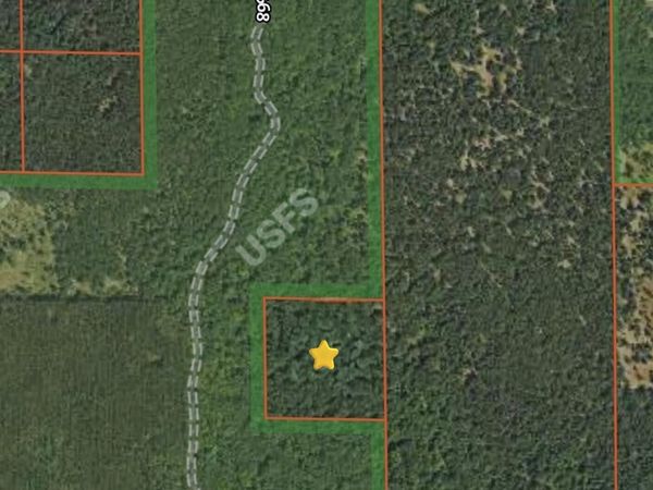 V/L Meade Twp, Free Soil, MI 49411