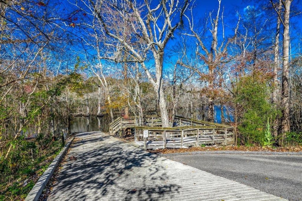 504 Oak Pond Ct.  Photo 51