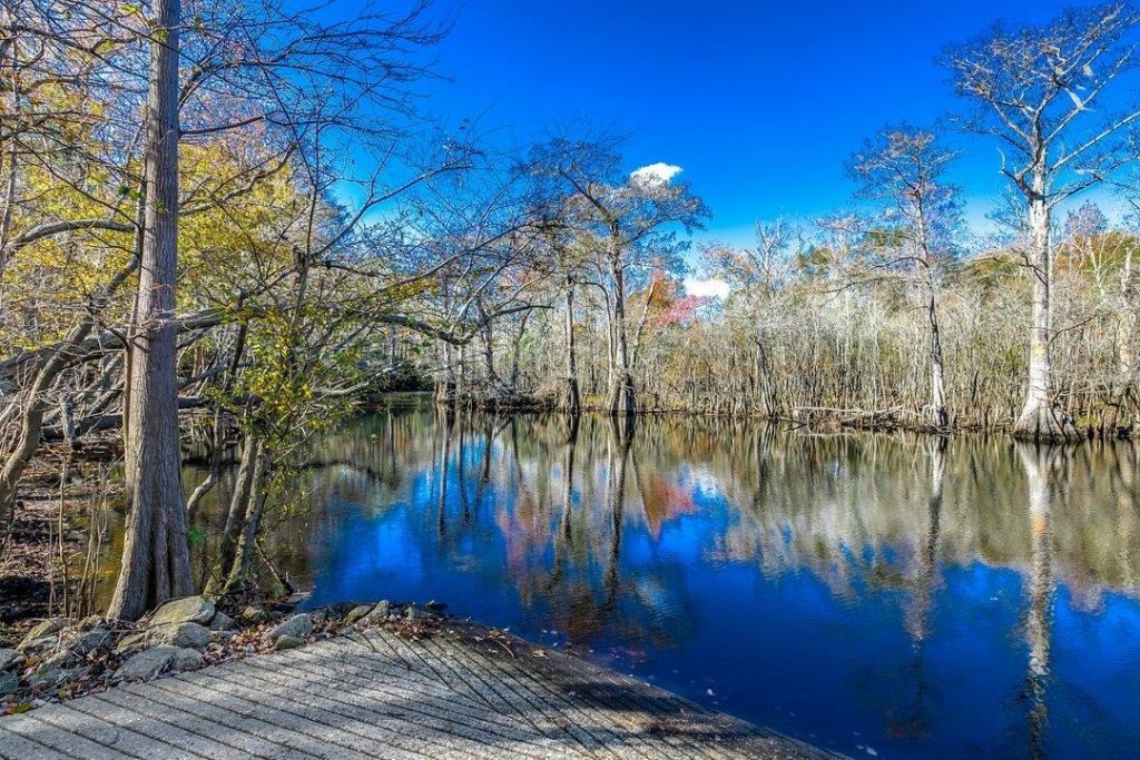 504 Oak Pond Ct.  Photo 53