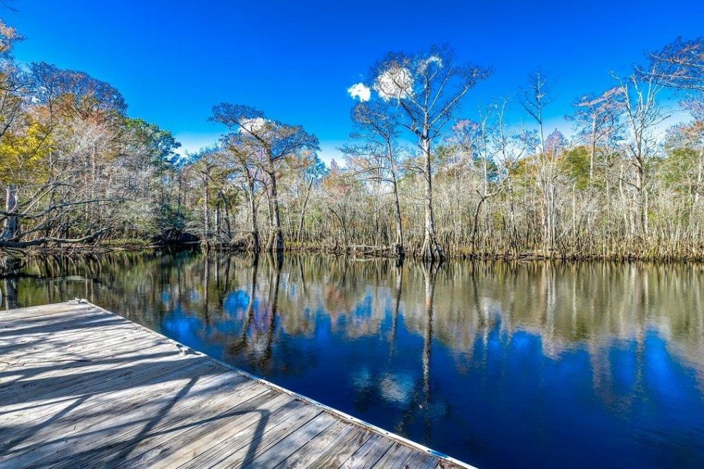 504 Oak Pond Ct.  Photo 54