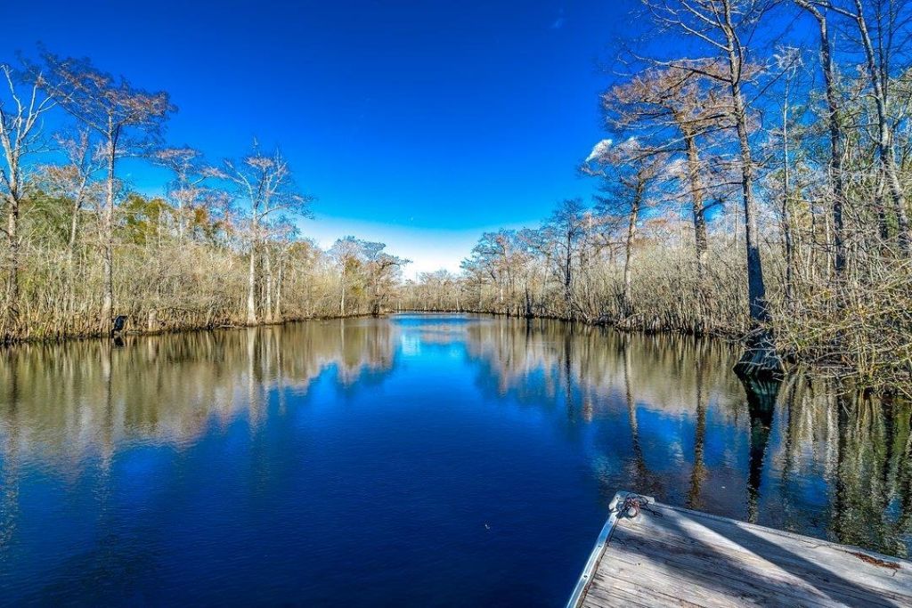 504 Oak Pond Ct.  Photo 55