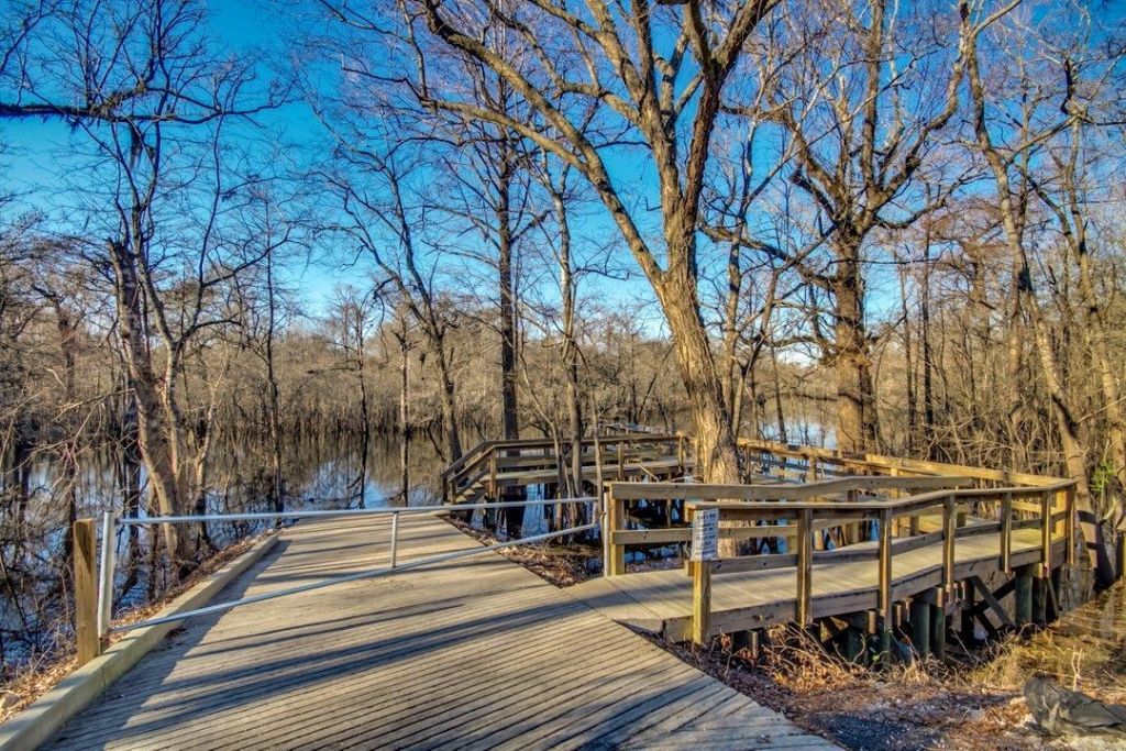 504 Oak Pond Ct.  Photo 56