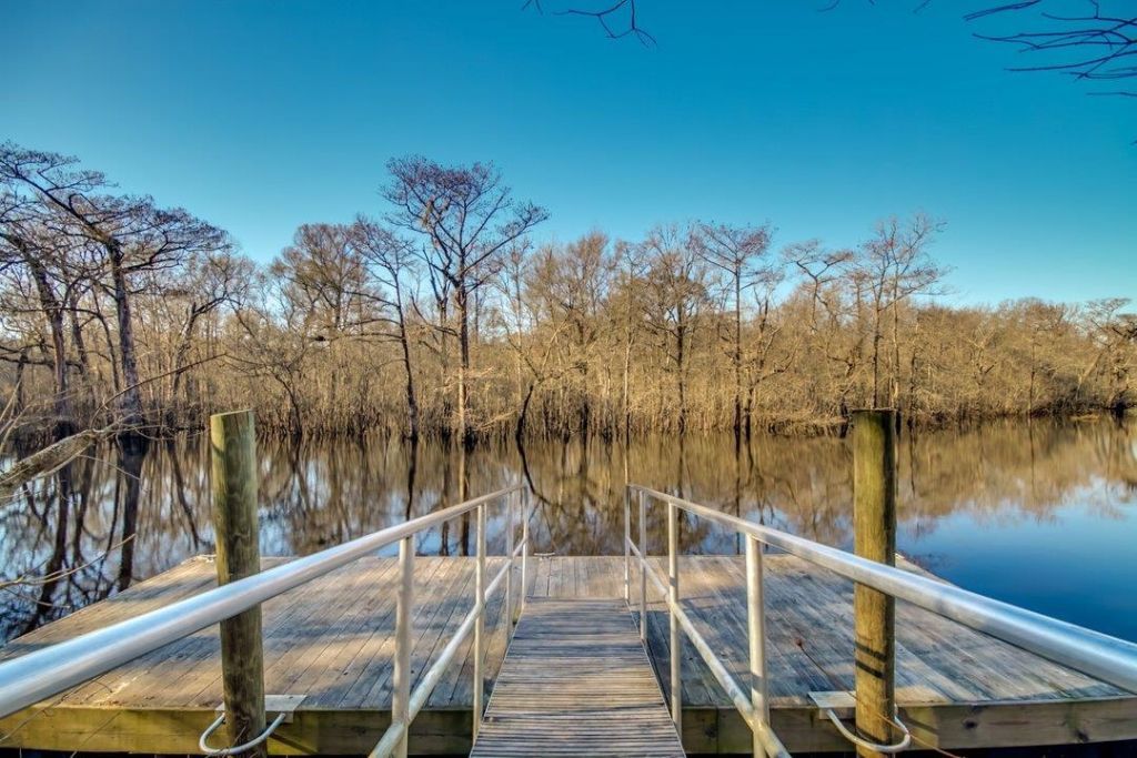 504 Oak Pond Ct.  Photo 57