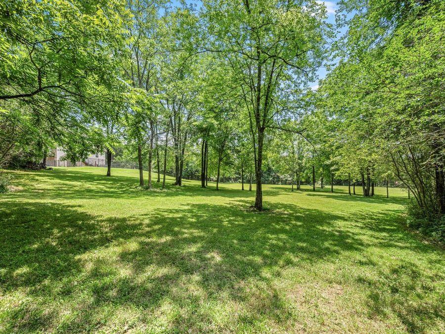 Property Image 76