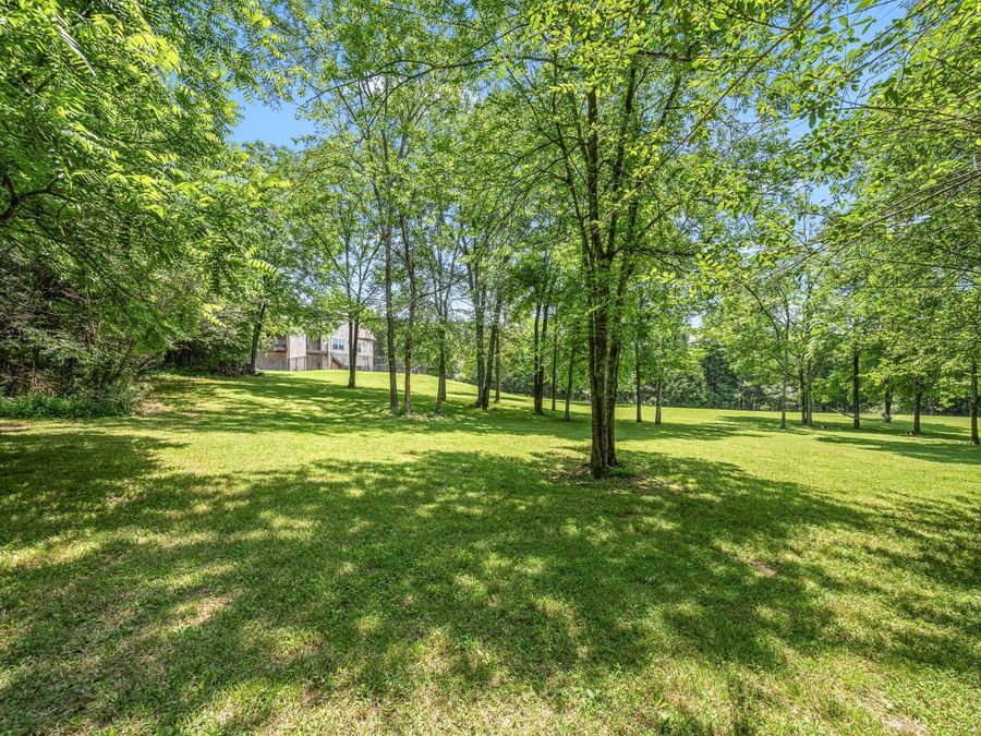 Property Image 77