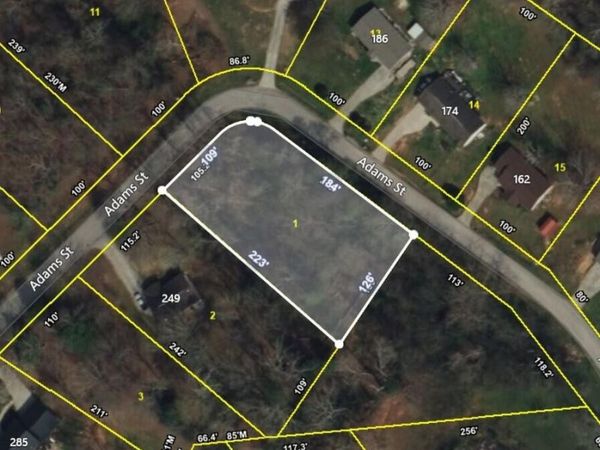 0 Adams Street , Spring City, TN 37381