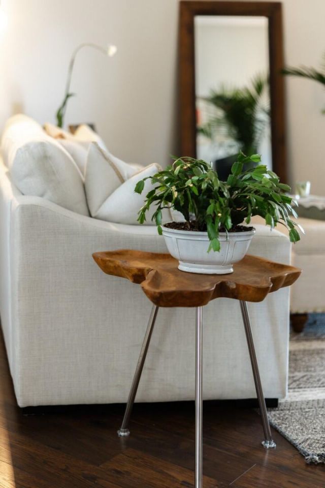 7335 Suncatcher Drive Photo 39