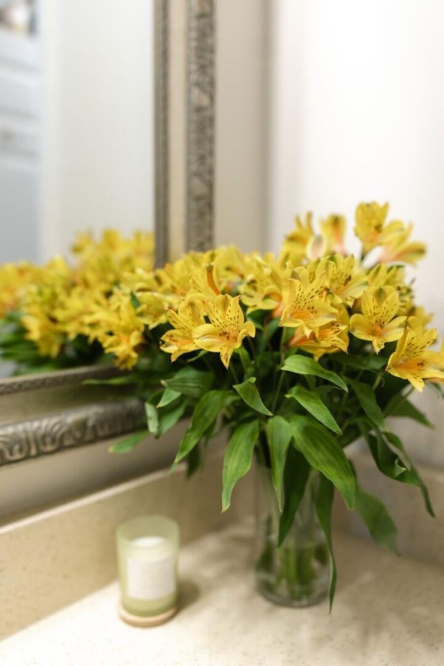 7335 Suncatcher Drive Photo 53