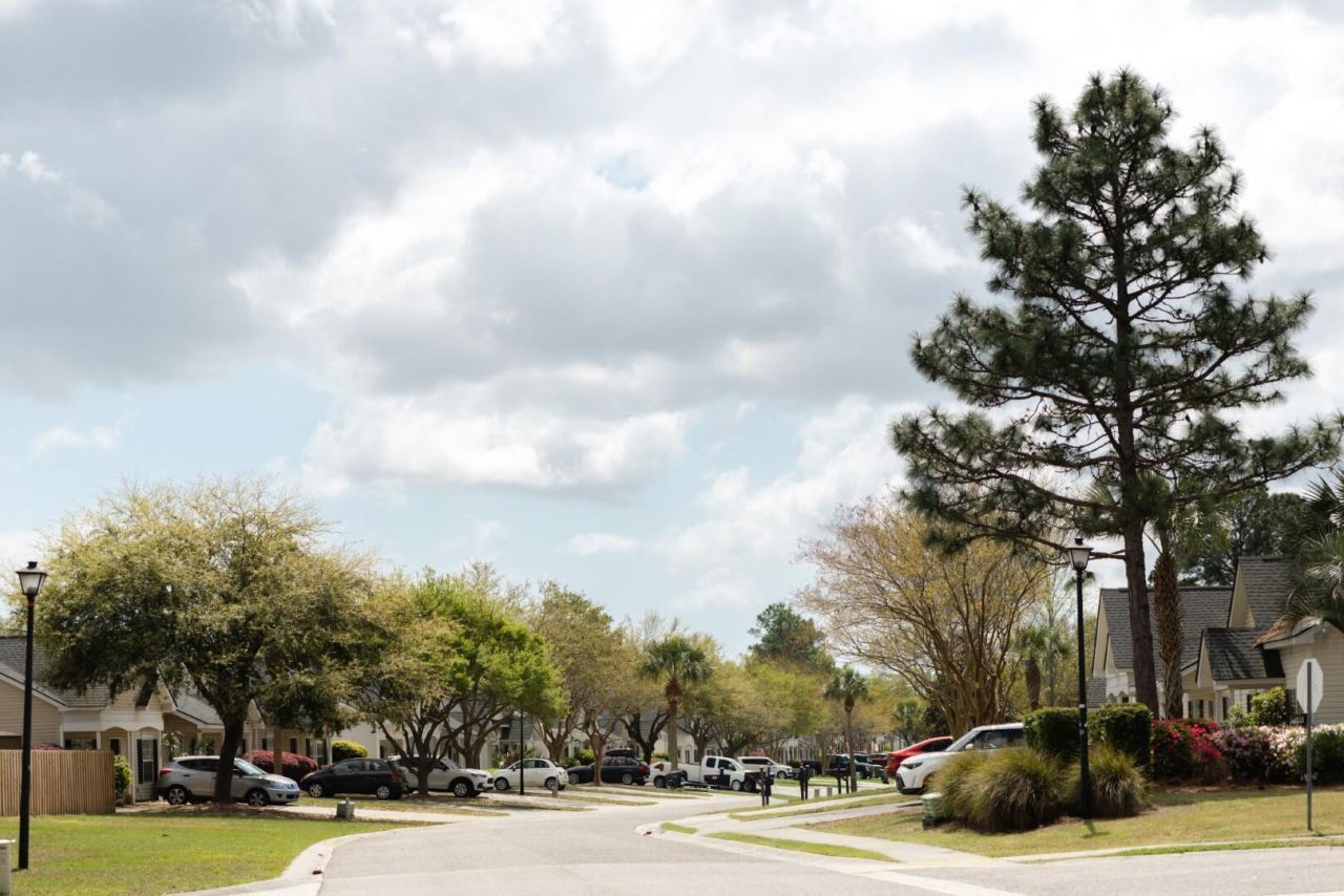 7335 Suncatcher Drive Photo 91