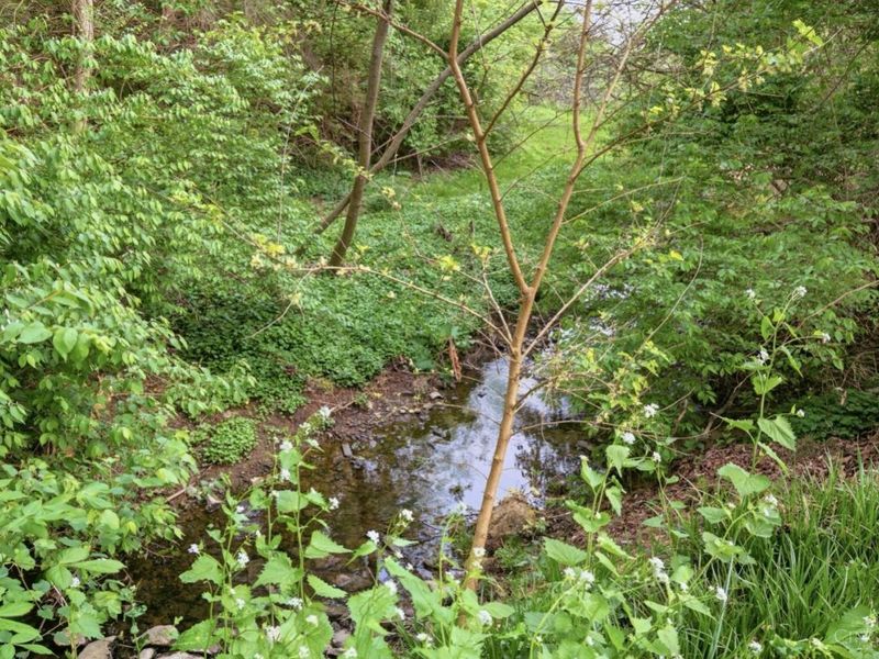 306 E Circle Drive, Mason, OH 45040 Photo 69