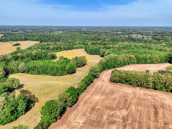 19735 Tennessee 22 , Wildersville, TN 38388