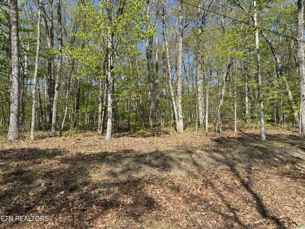 47&49 Cheshire Terrace, Crossville, TN 38558