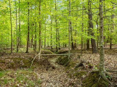 2a Union Grove Church, Chapel Hill, NC 27516
