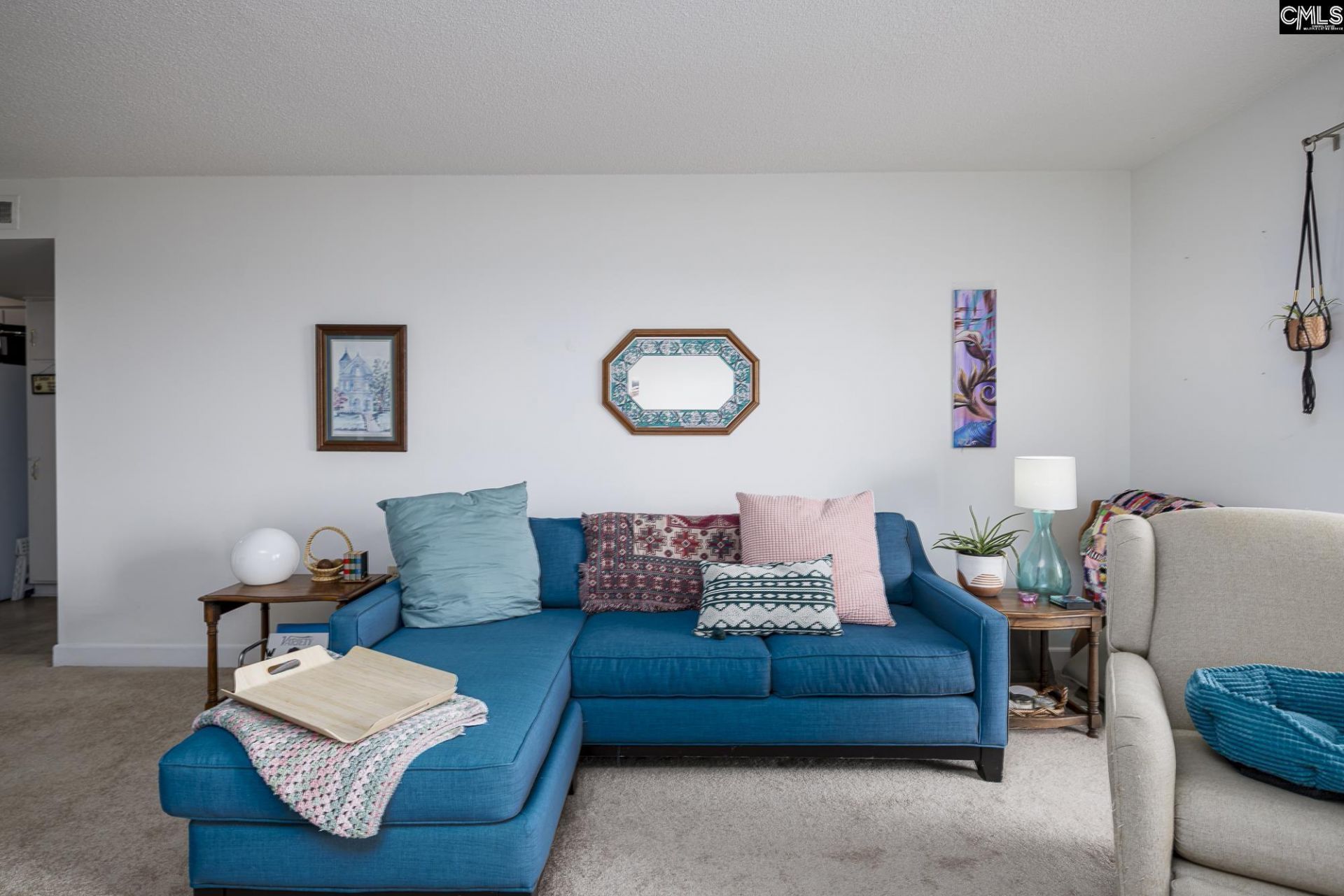 1825 Saint Julian Place  Photo 5