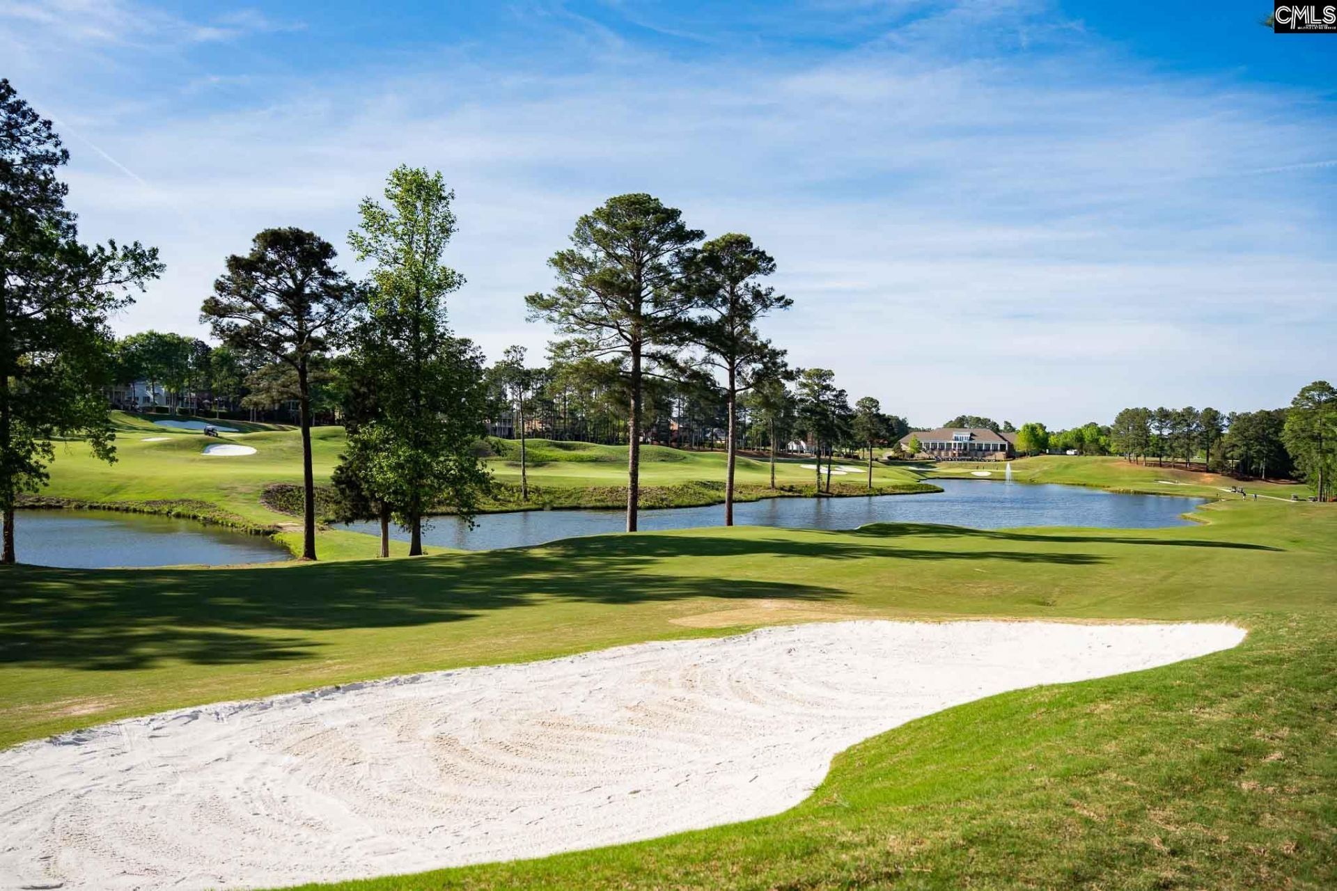 725 Coriander Road  Photo 34