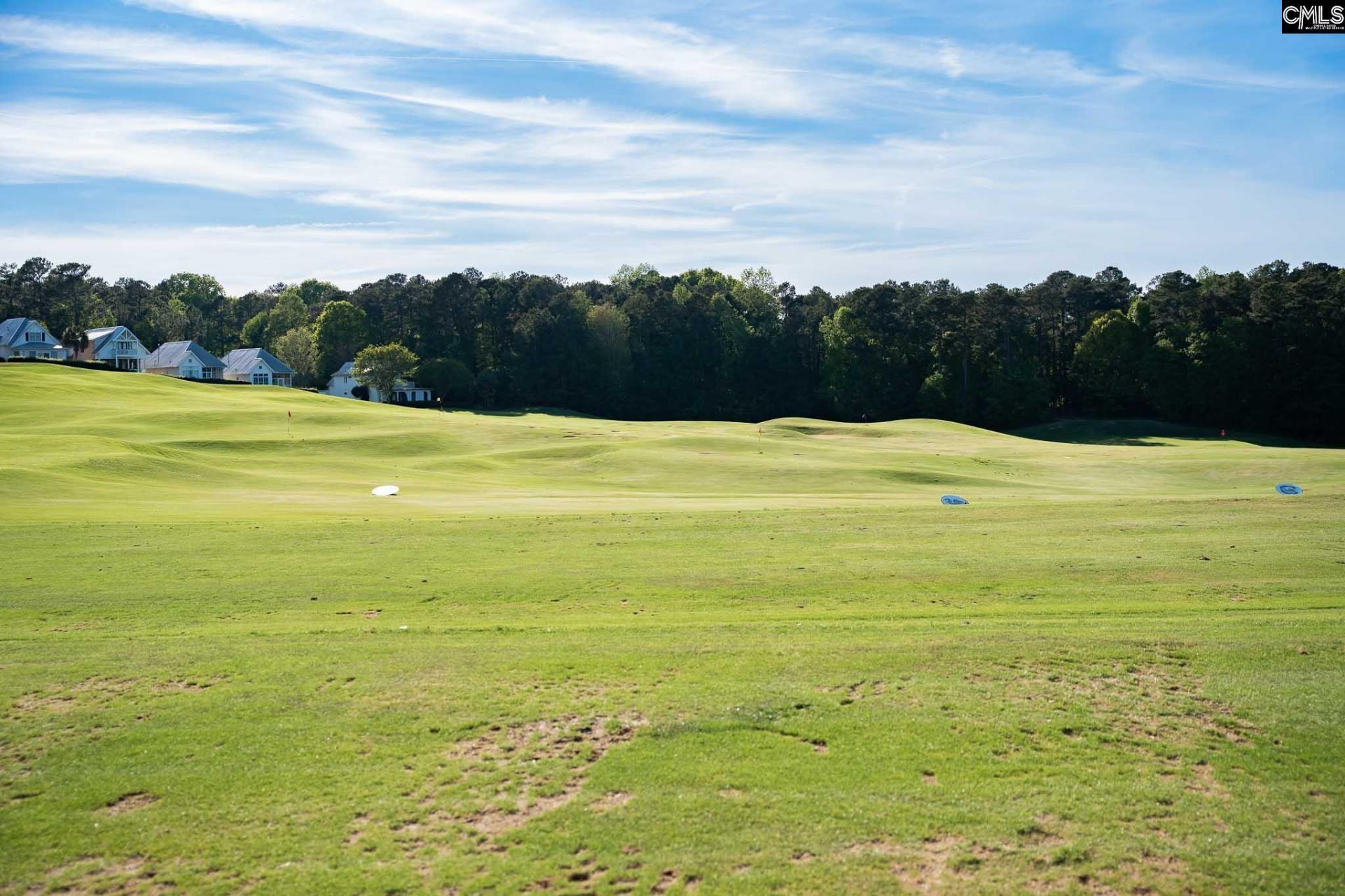 725 Coriander Road  Photo 35