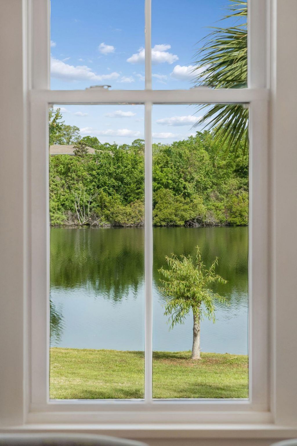 1587 Paradise Lake Drive Photo 28