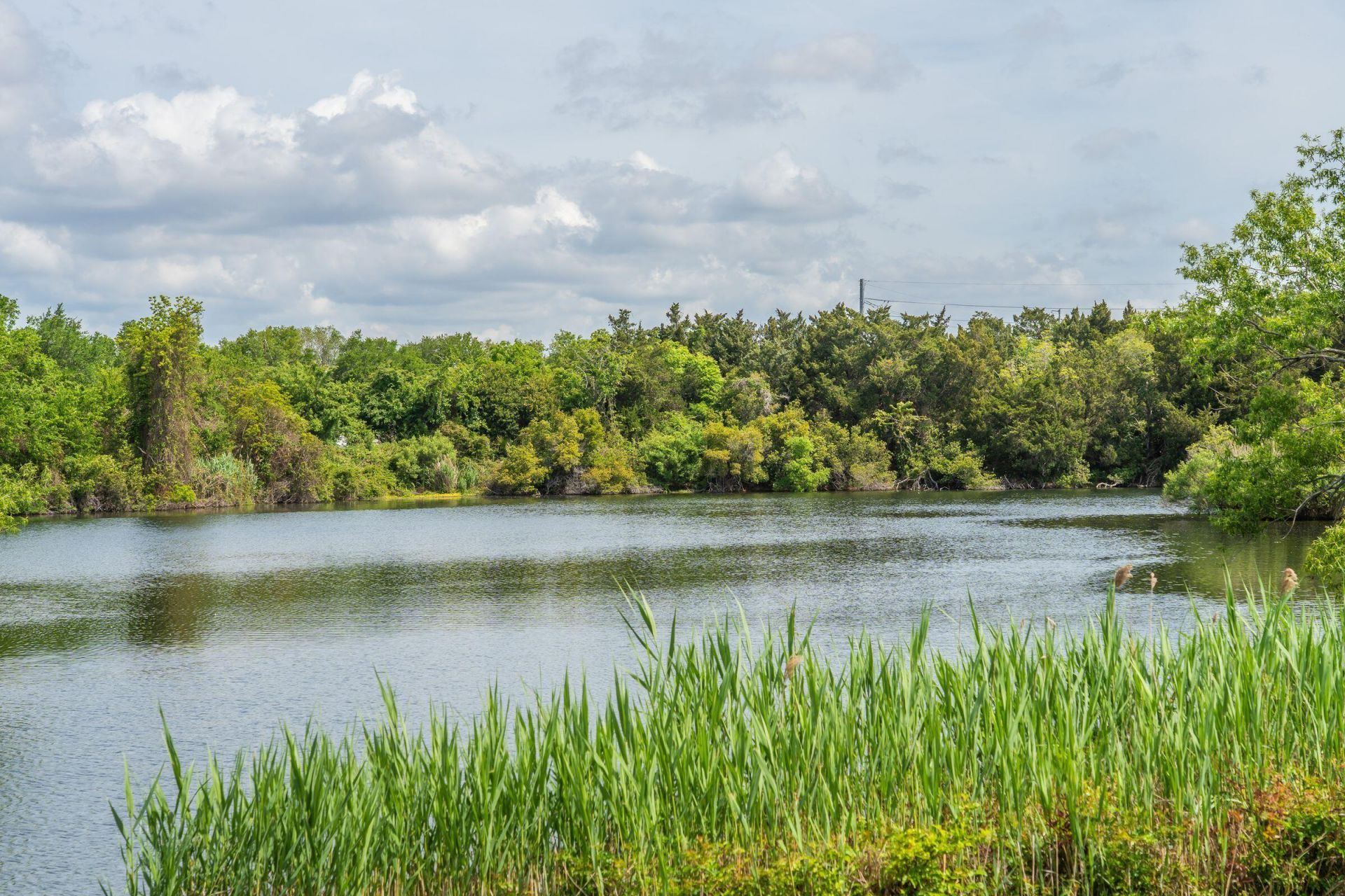 1587 Paradise Lake Drive Photo 5