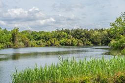 1587 Paradise Lake Drive photo 4