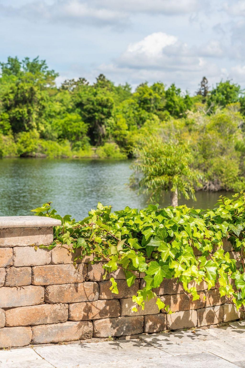 1587 Paradise Lake Drive Photo 55