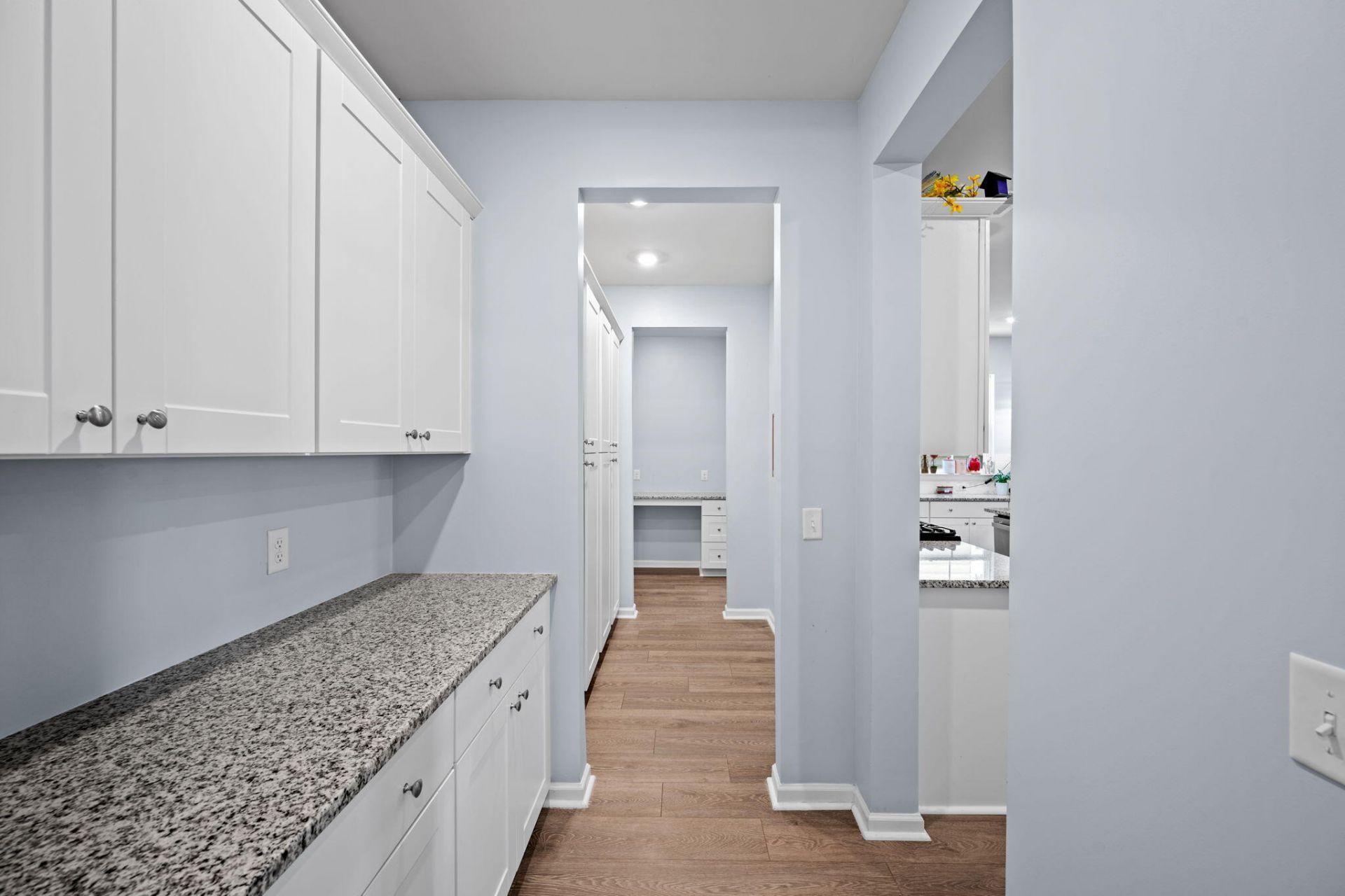 1037 Fitzgerald Court Photo 17