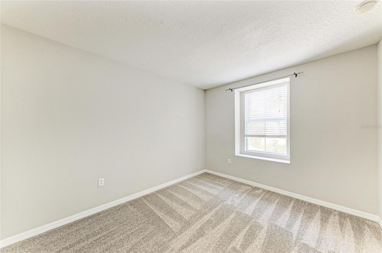 10825 Great Carlisle Court , Riverview, FL 33578 Photo