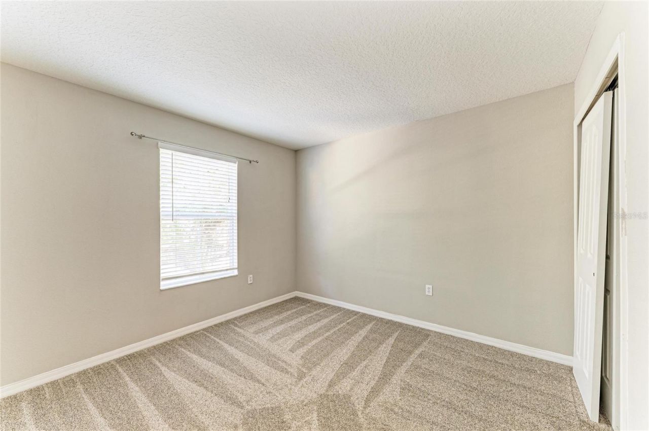 10825 Great Carlisle Court , Riverview, FL 33578 Photo