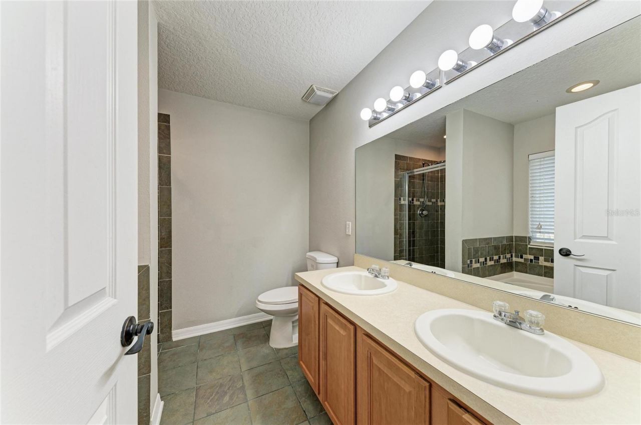 10825 Great Carlisle Court , Riverview, FL 33578 Photo