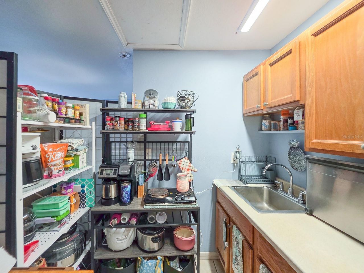 121 E Palm Way , Edgewater, FL 32132 Photo