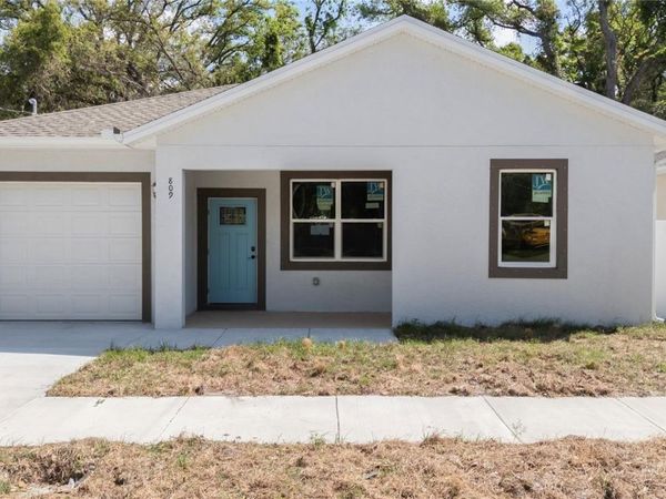 809 E 131ST AVE, TAMPA, FL 33612