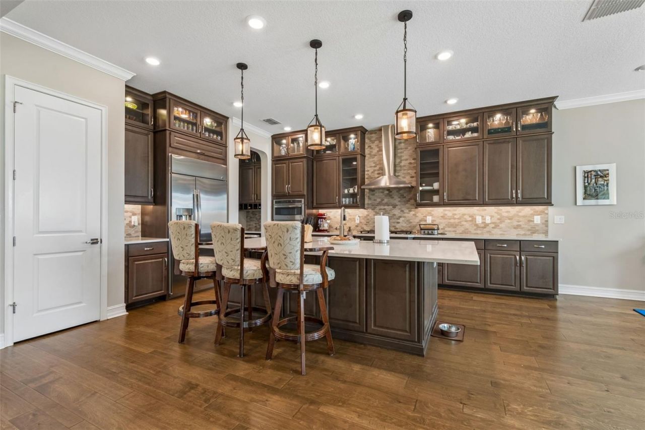 28602 Marsciano Lane , Wesley Chapel, FL 33543 Photo