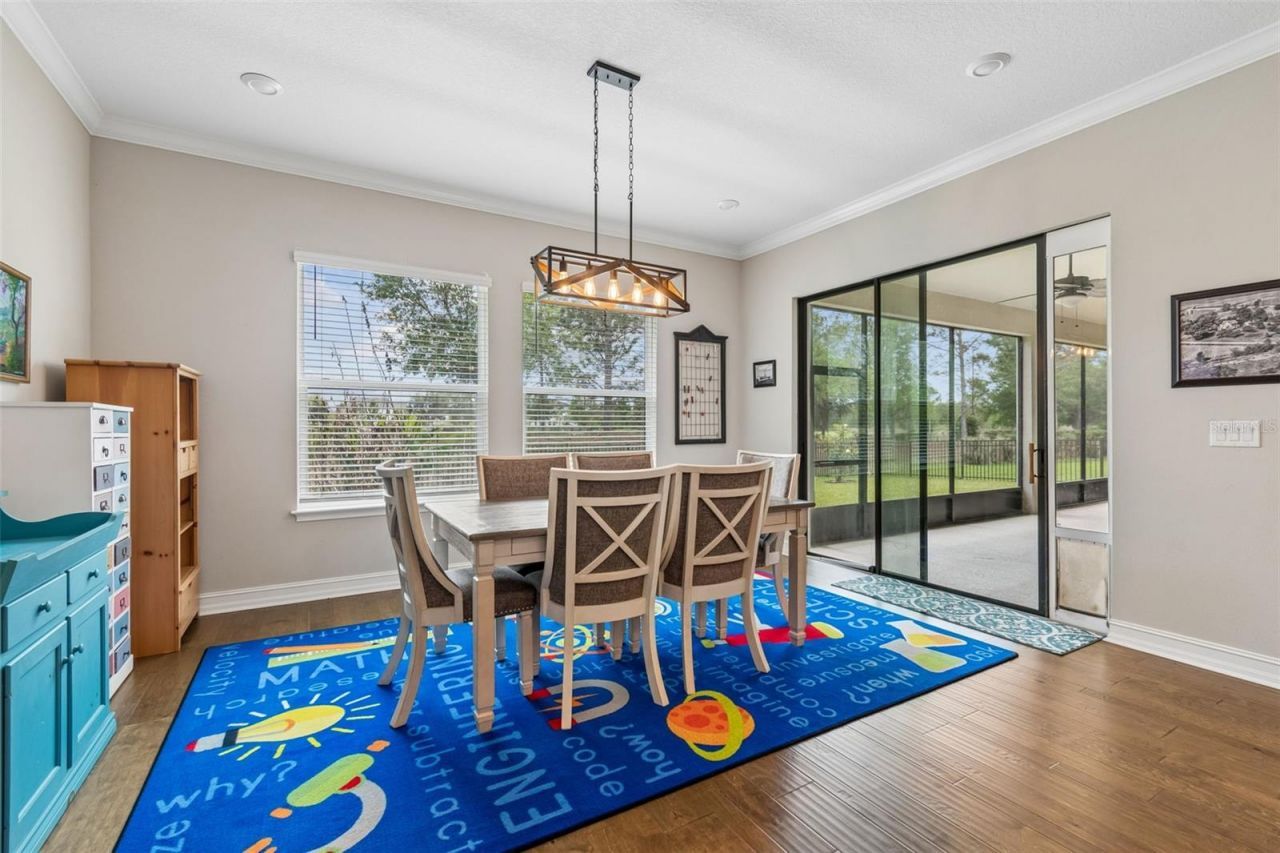 28602 Marsciano Lane , Wesley Chapel, FL 33543 Photo