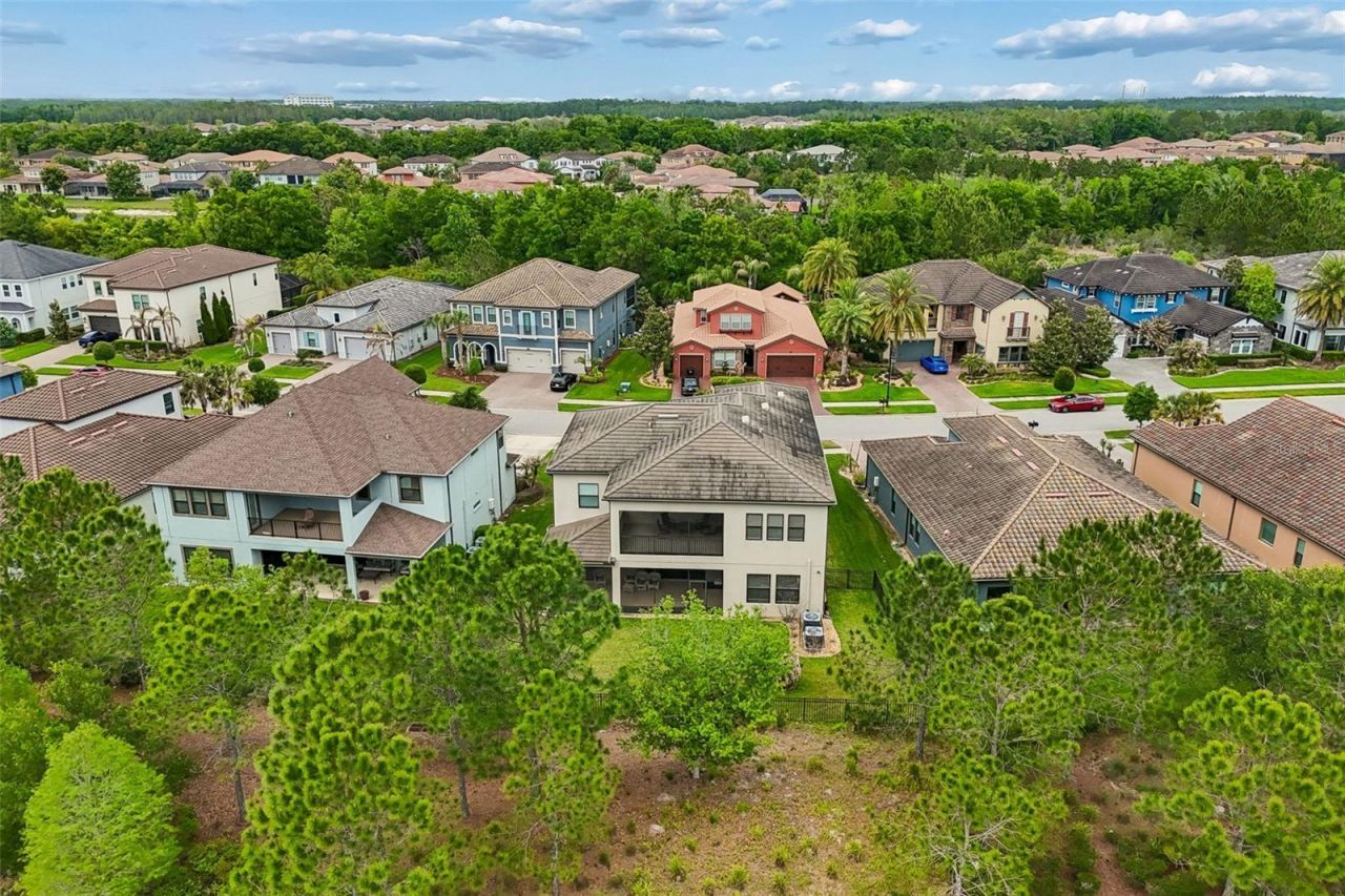 28602 Marsciano Lane , Wesley Chapel, FL 33543 Photo