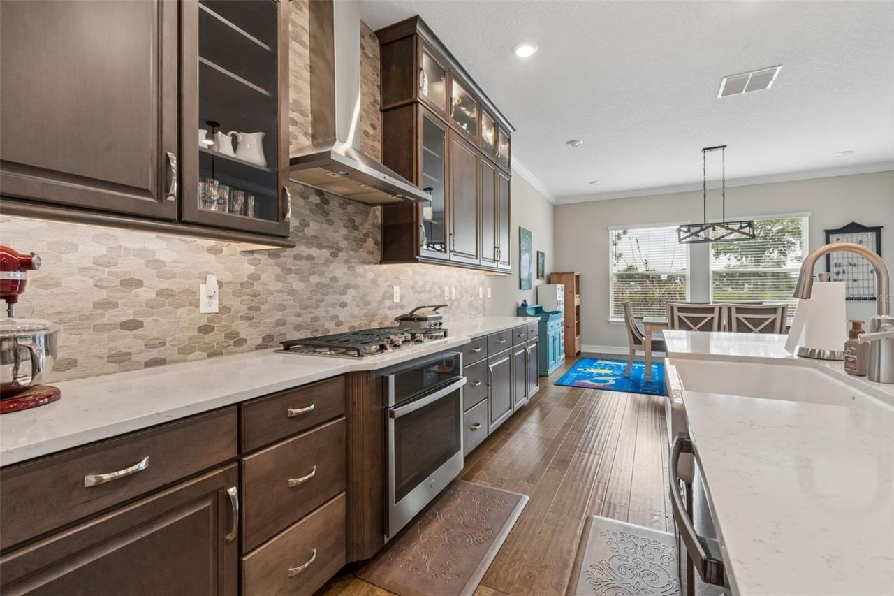 28602 Marsciano Lane , Wesley Chapel, FL 33543 Photo