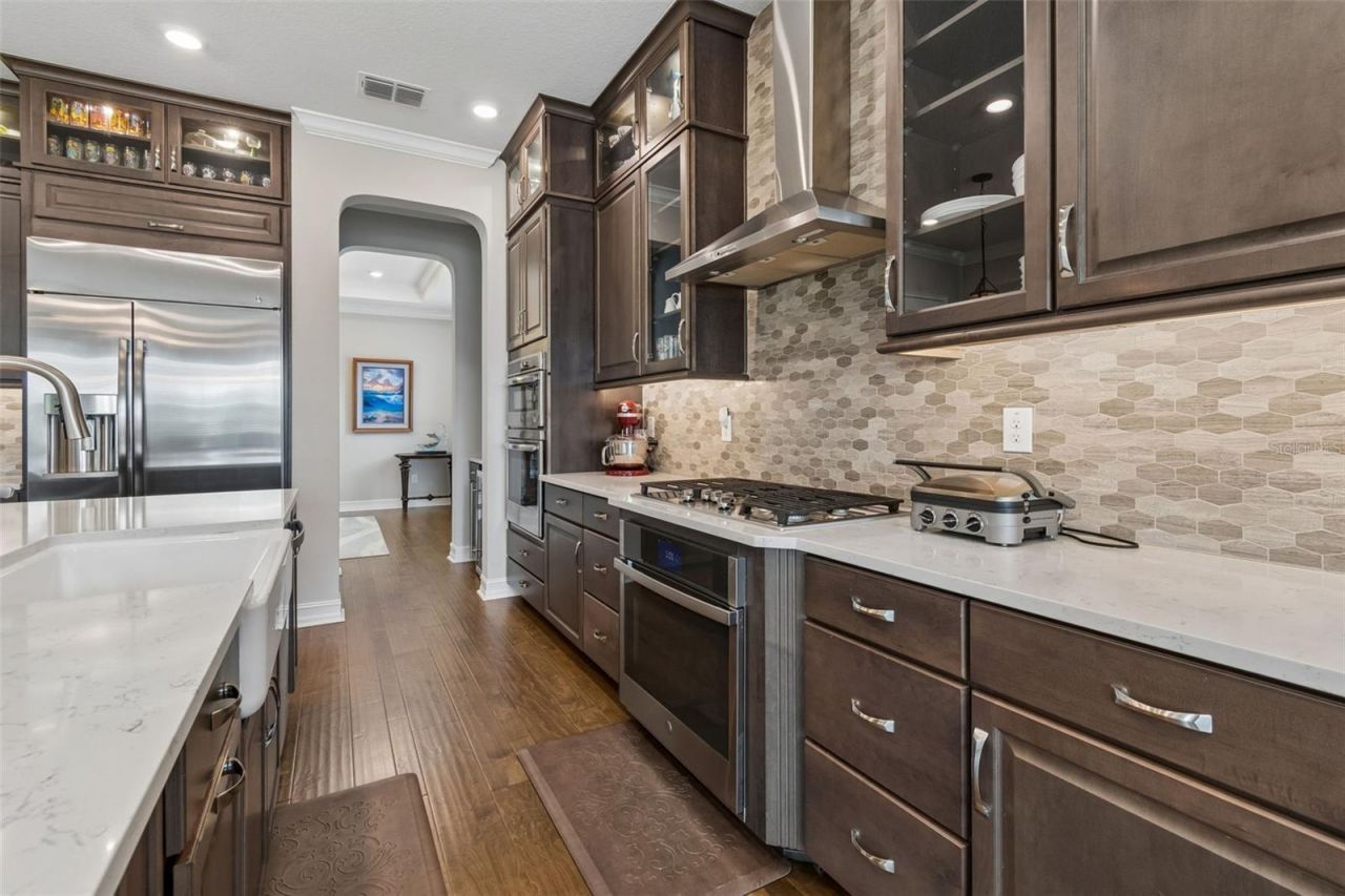 28602 Marsciano Lane , Wesley Chapel, FL 33543 Photo