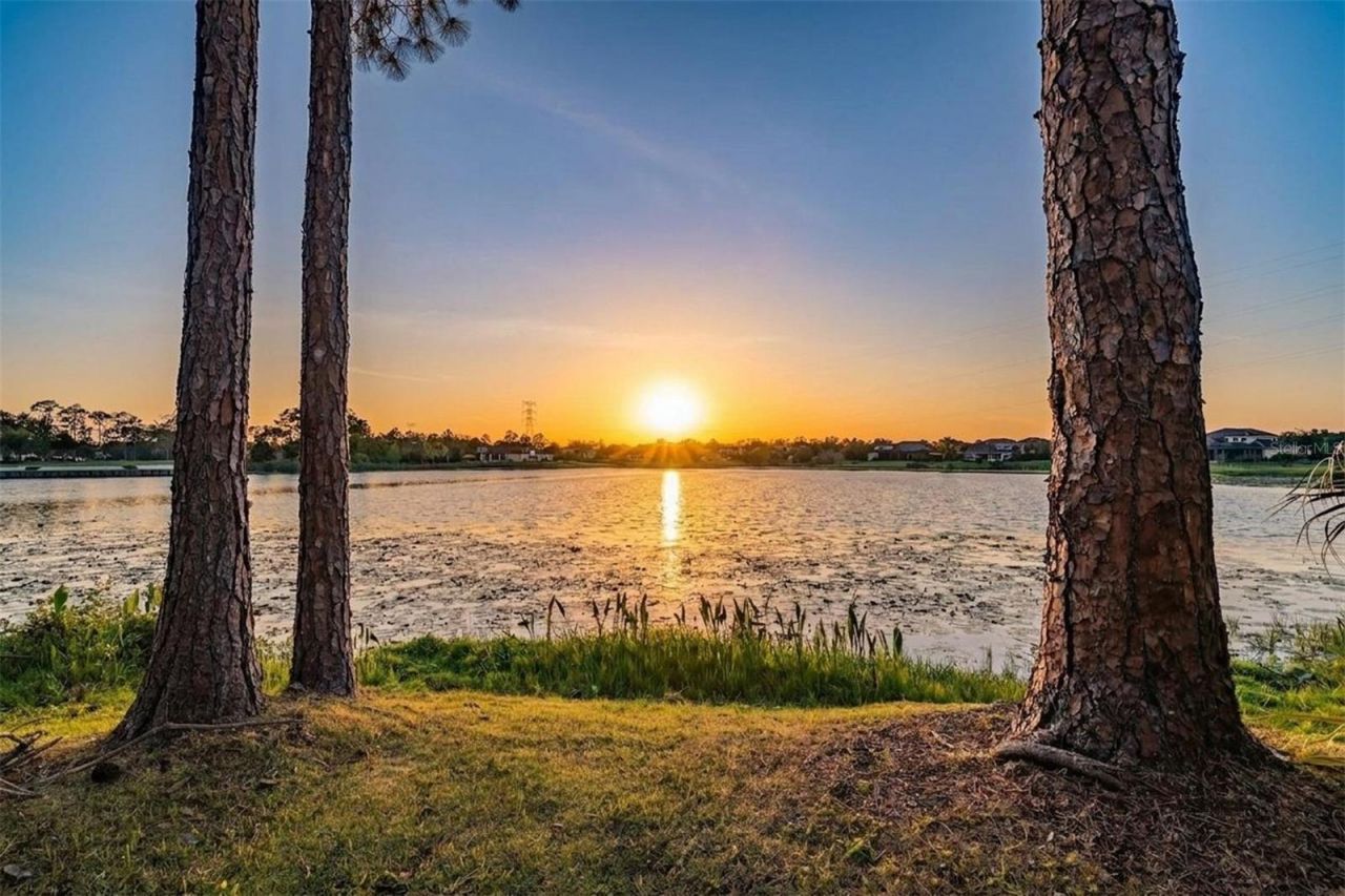 9134 Tillinghast Drive, Tampa, FL 33626 Photo