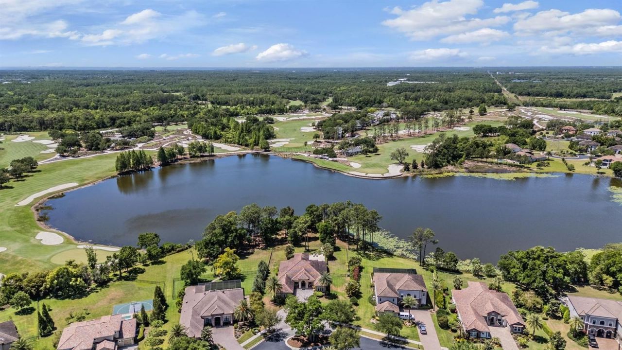 9134 Tillinghast Drive, Tampa, FL 33626 Photo