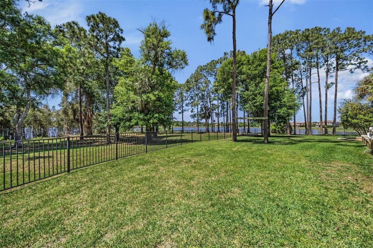 9134 Tillinghast Drive, Tampa, FL 33626 Photo