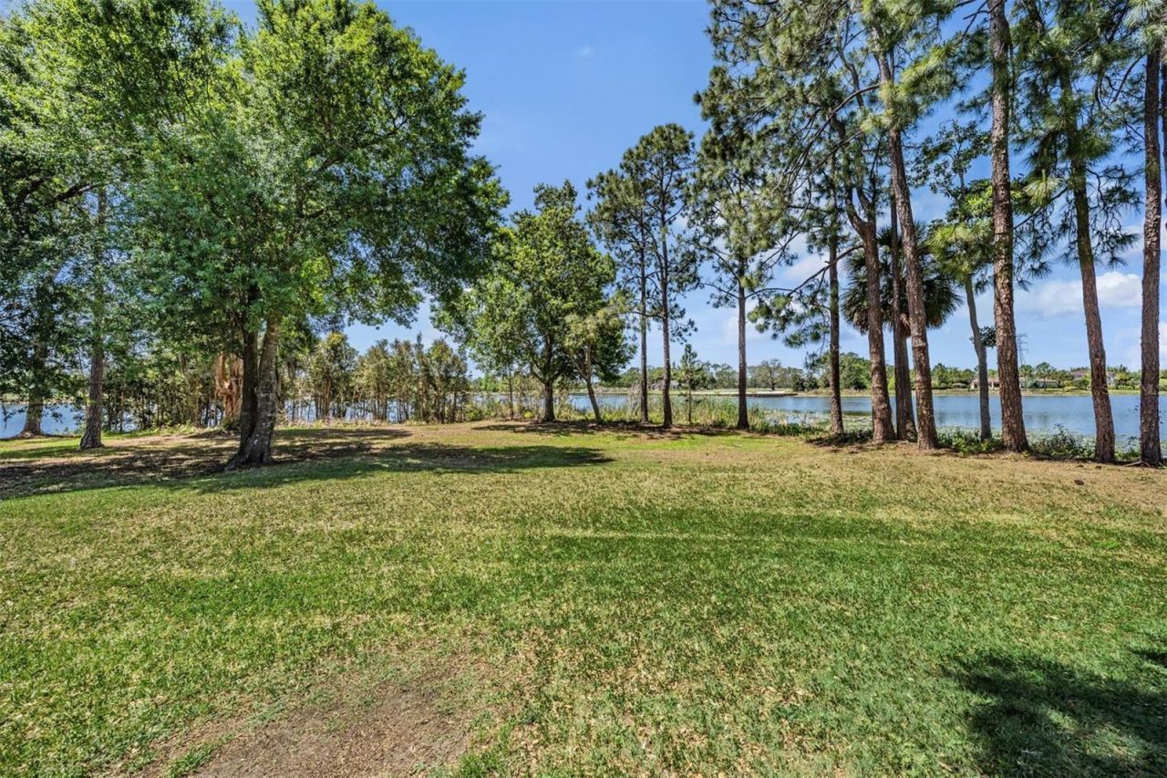 9134 Tillinghast Drive, Tampa, FL 33626 Photo