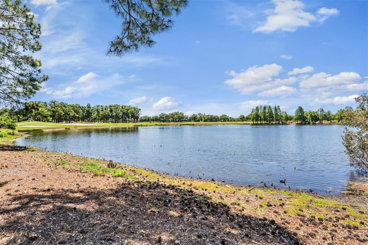 9134 Tillinghast Drive, Tampa, FL 33626 Photo