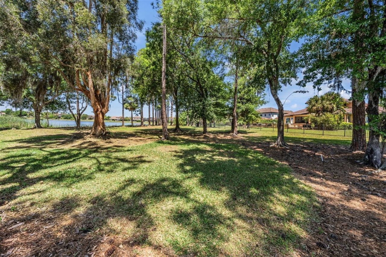 9134 Tillinghast Drive, Tampa, FL 33626 Photo