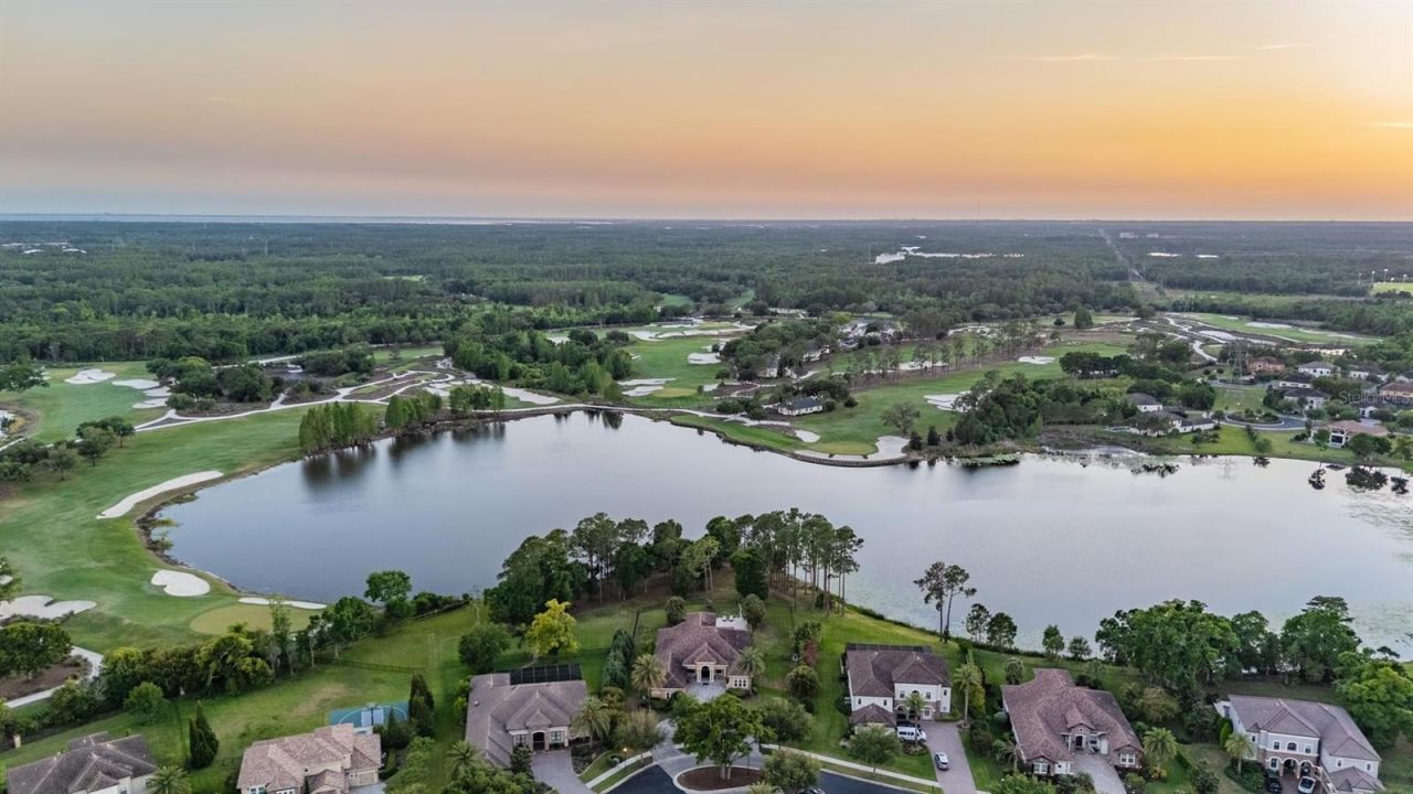 9134 Tillinghast Drive, Tampa, FL 33626 Photo