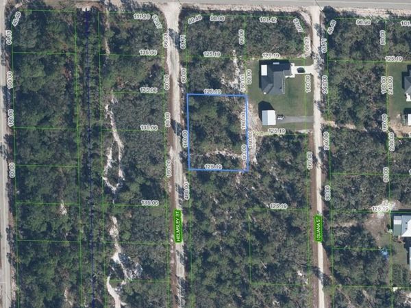 1059 HELMSLEY STREET , LAKE PLACID, FL 33852